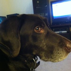 Meet your Posher, Jonjo